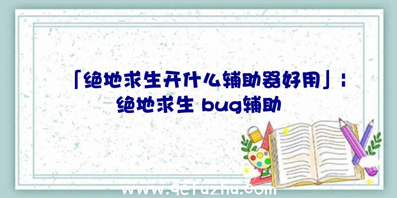 「绝地求生开什么辅助器好用」|绝地求生